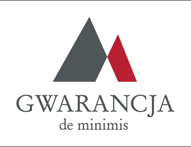 Logo deminimis